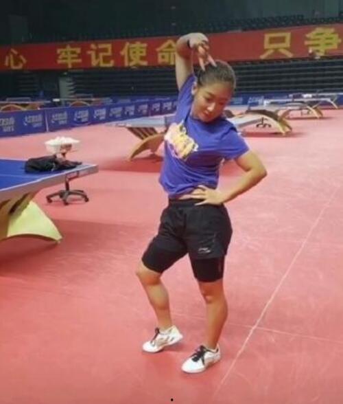 刘诗雯爆料最新动态视频,揭秘赛场幕后花絮与心路历程